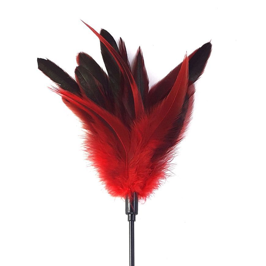 Лоскітка з пером півня Art of Sex &ndash; Feather Paddle, червона