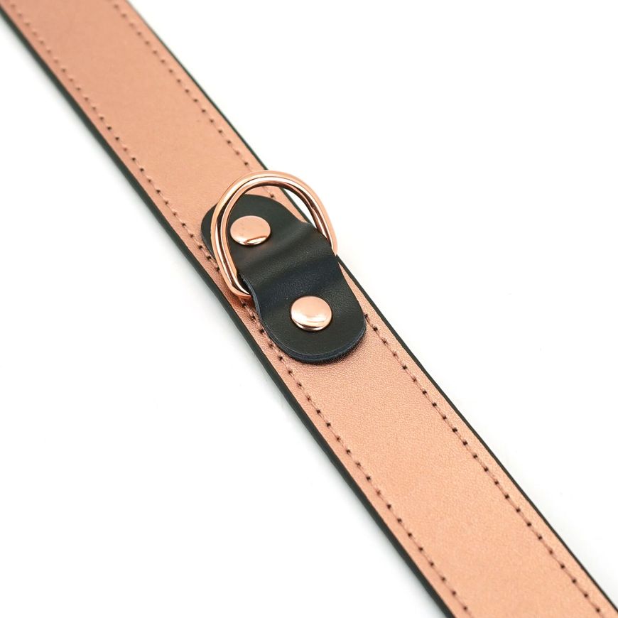 Нашийник із затискачами для сосків Liebe Seele Rose Gold Memory Collar with Nipple Clamps