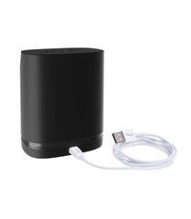 Кейс/зарядна станція та кабель для заряджання We-Vibe Chorus &mdash; Charging Base w/USB Cable