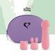 Міні-вібратор FeelzToys Mister Bunny Pink з двома насадками