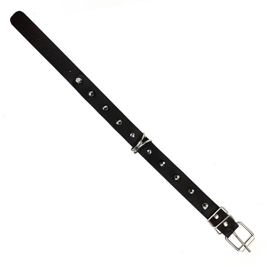 Нашийник з шипами та повідцем Art of Sex - Collar Spikes and Leash