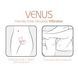 Смарт-вібратор для пар Adrien Lastic Venus + APP, подвійний, можна носити під одягом, 10 режимів